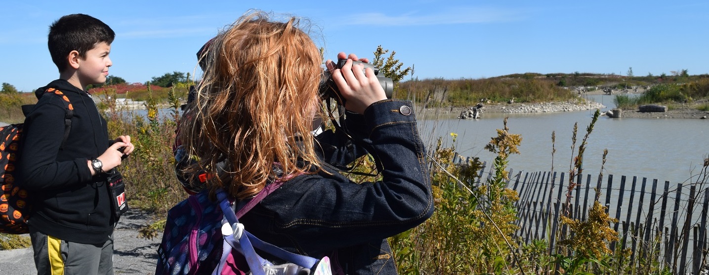 students use binoculars to look for birds in a wetland area at Tommy Thompson Park