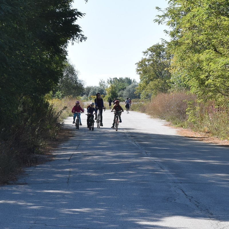 summer campers enjoy wheels on the waterfront bike camp at Tommy Thompson Park