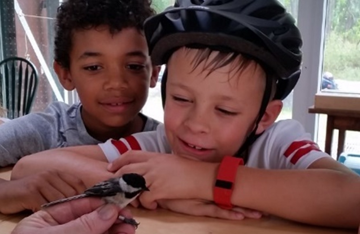 summer campers pay a visit to the Bird Research Station at Tommy Thompson Park