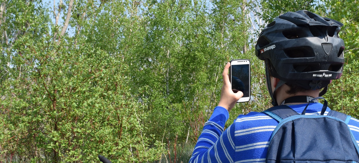a summer camper at Tommy Thompson Park practices nature photography