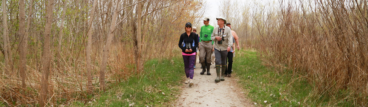 bird watchers on a trail at Tommy Thompson Park