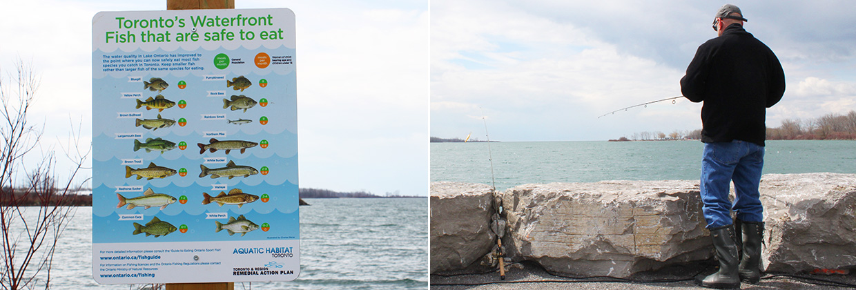 scenes of recreational fishing at Tommy Thompson Park