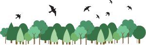 graphic showing birds flying above trees