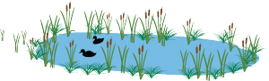 graphic showing ducks swimming in pond