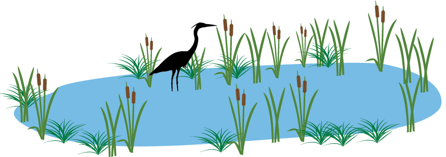 graphic showing blue heron in wetland