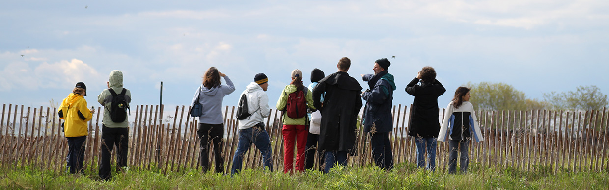 visitors bird watching at Tommy Thompson Park