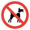 No dogs allowed