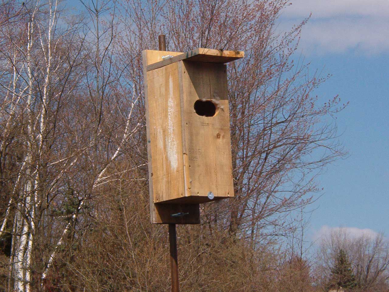 A wooden bird box