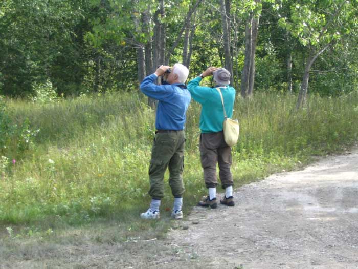 Volunteer at Tommy Thompson Park