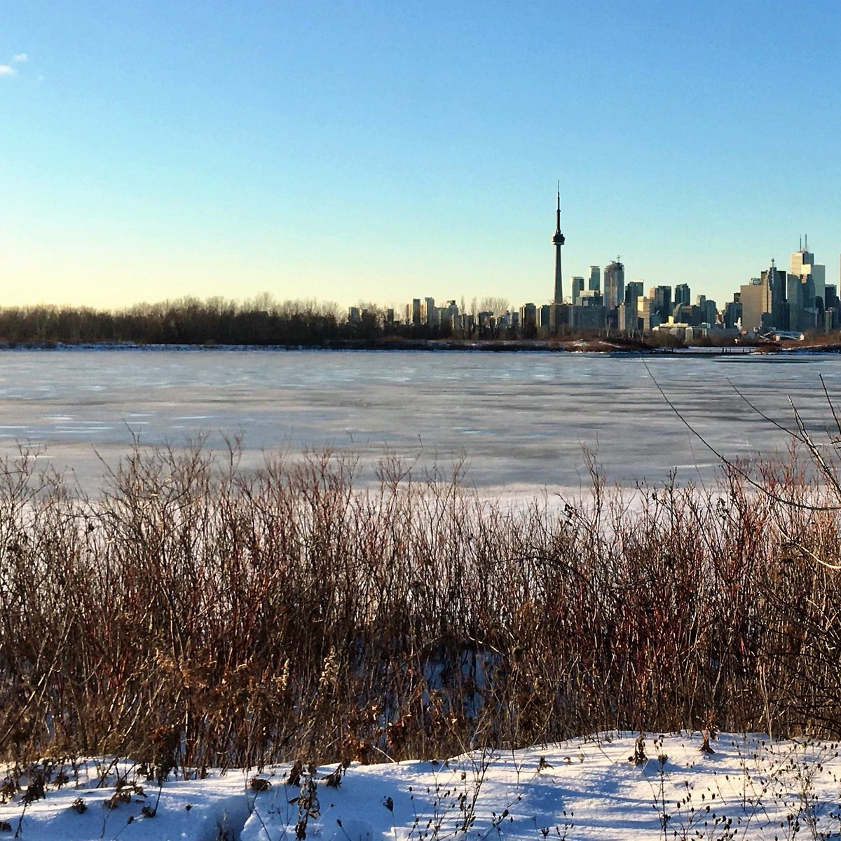 View of Toronto from Tommy Thompson Park