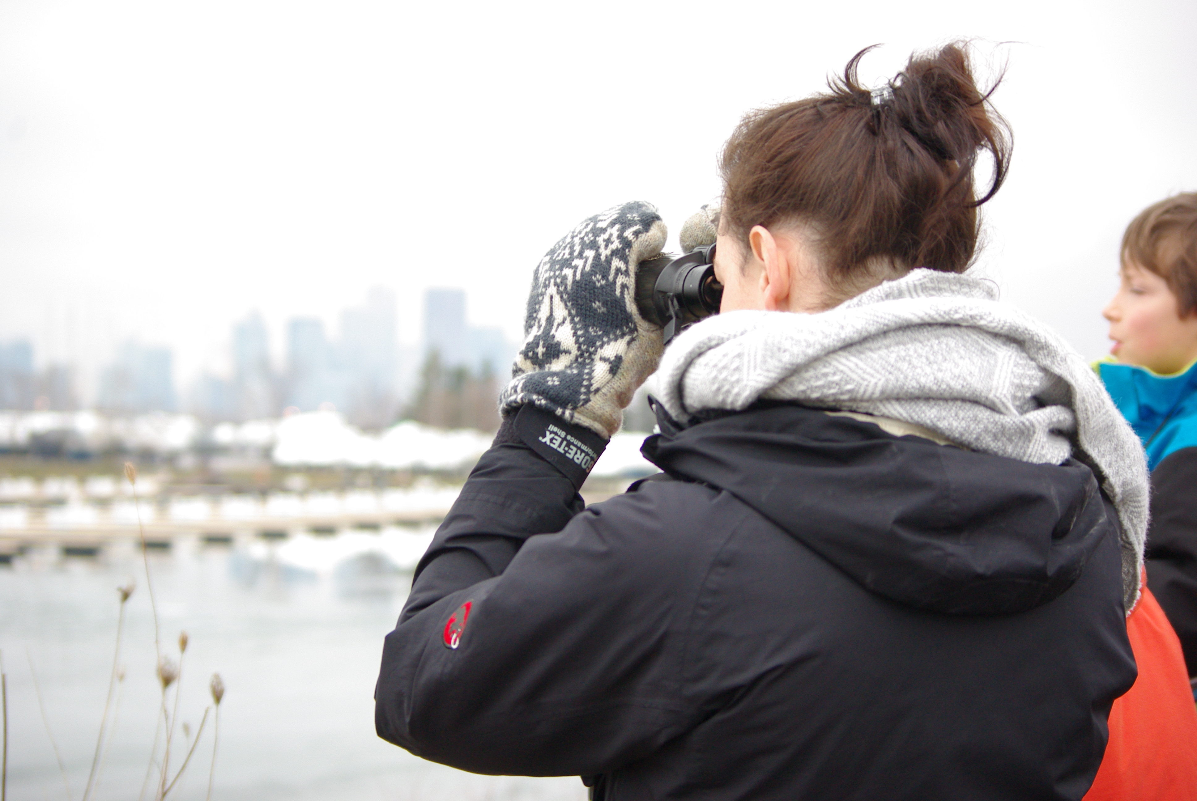 Winter bird watching at Tommy Thompson Park