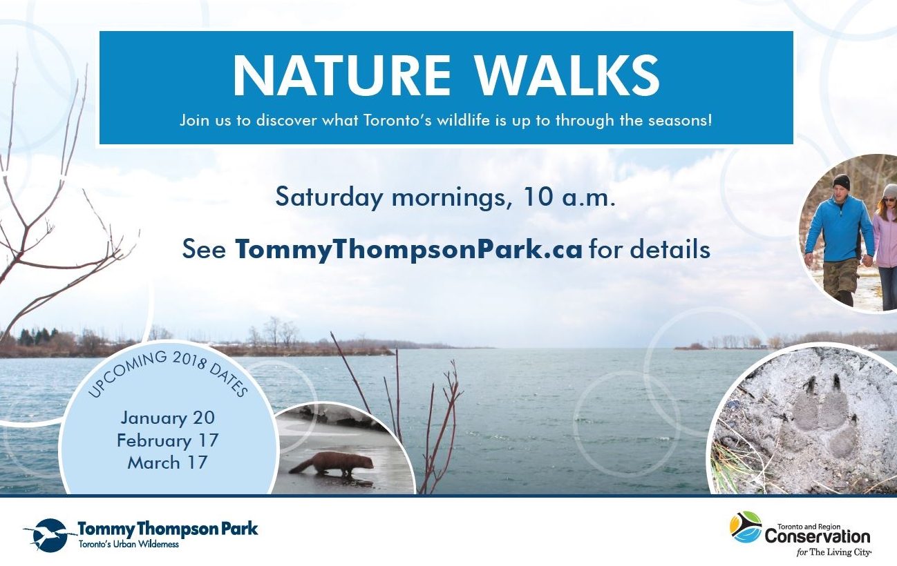 Nature Walks at Tommy Thompson Park