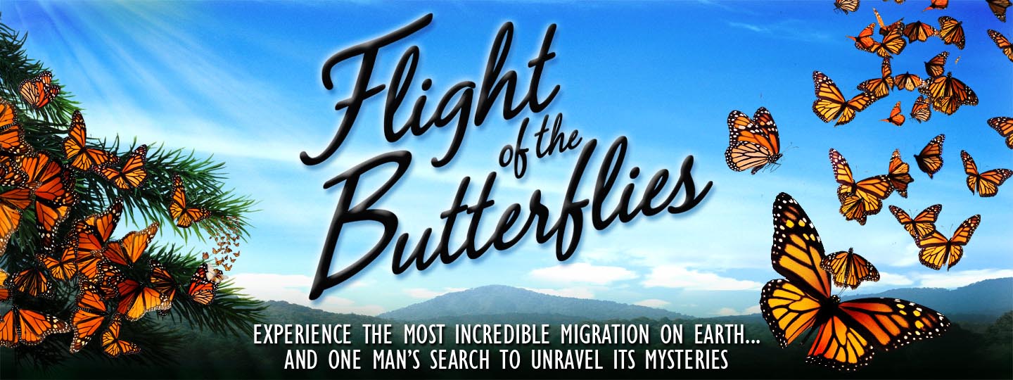 Flight of the Butterflies poster
