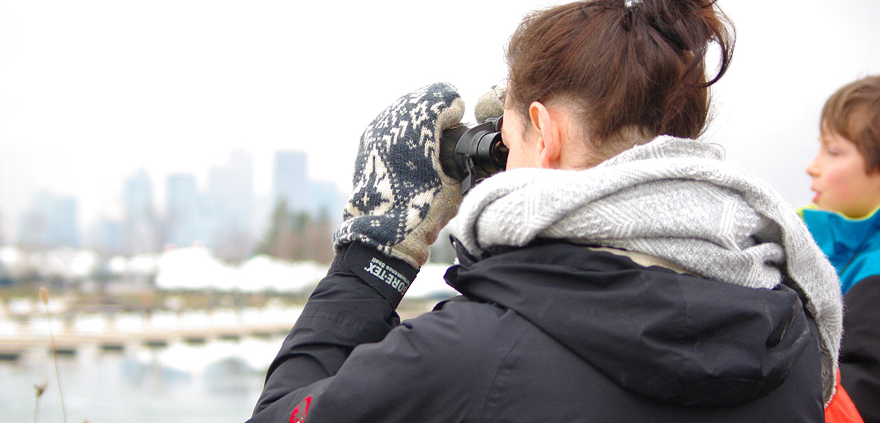 winter birdwatching at Tommy Thompson Park