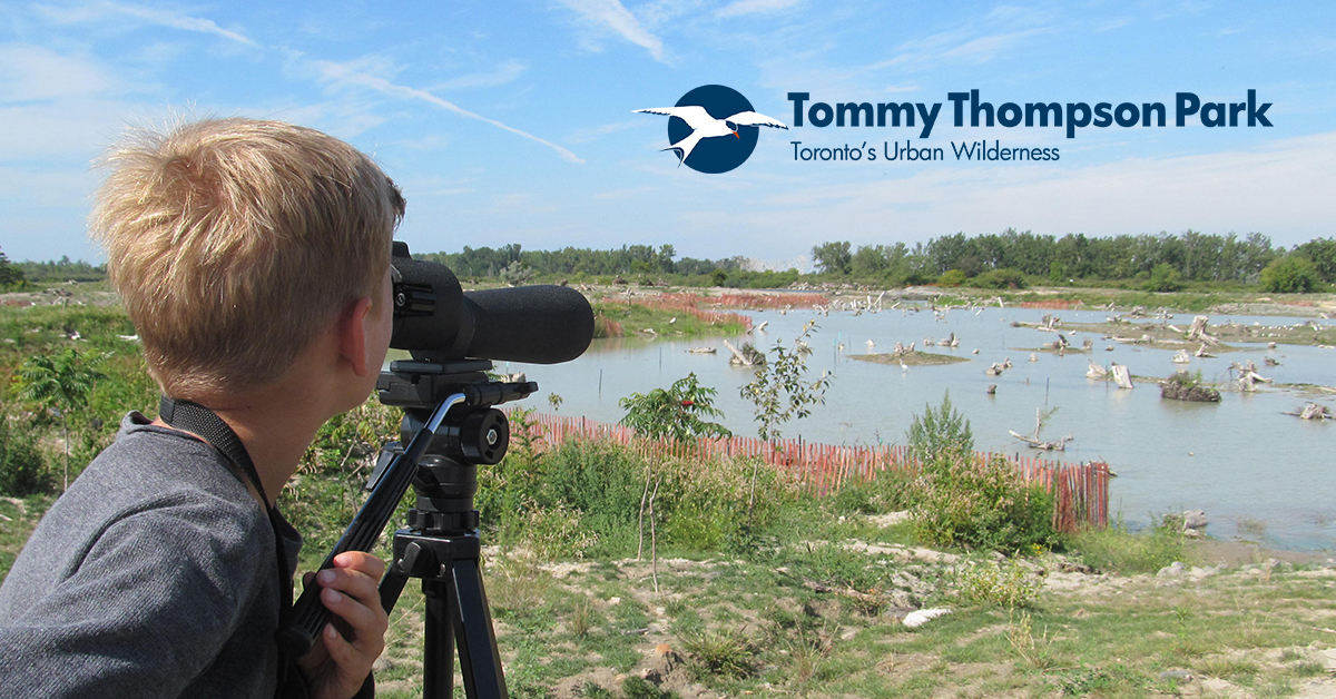 young birdwatcher at Tommy Thompson Park