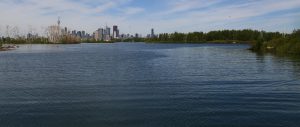view of Toronto skyline from Tommy Thompson Park