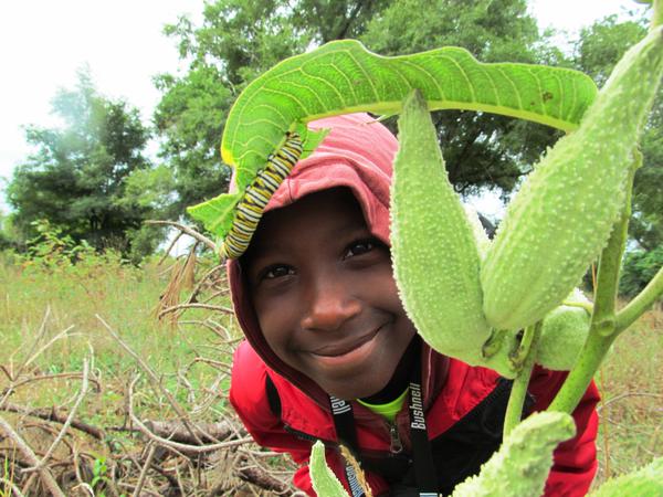 boy looks at caterpillar