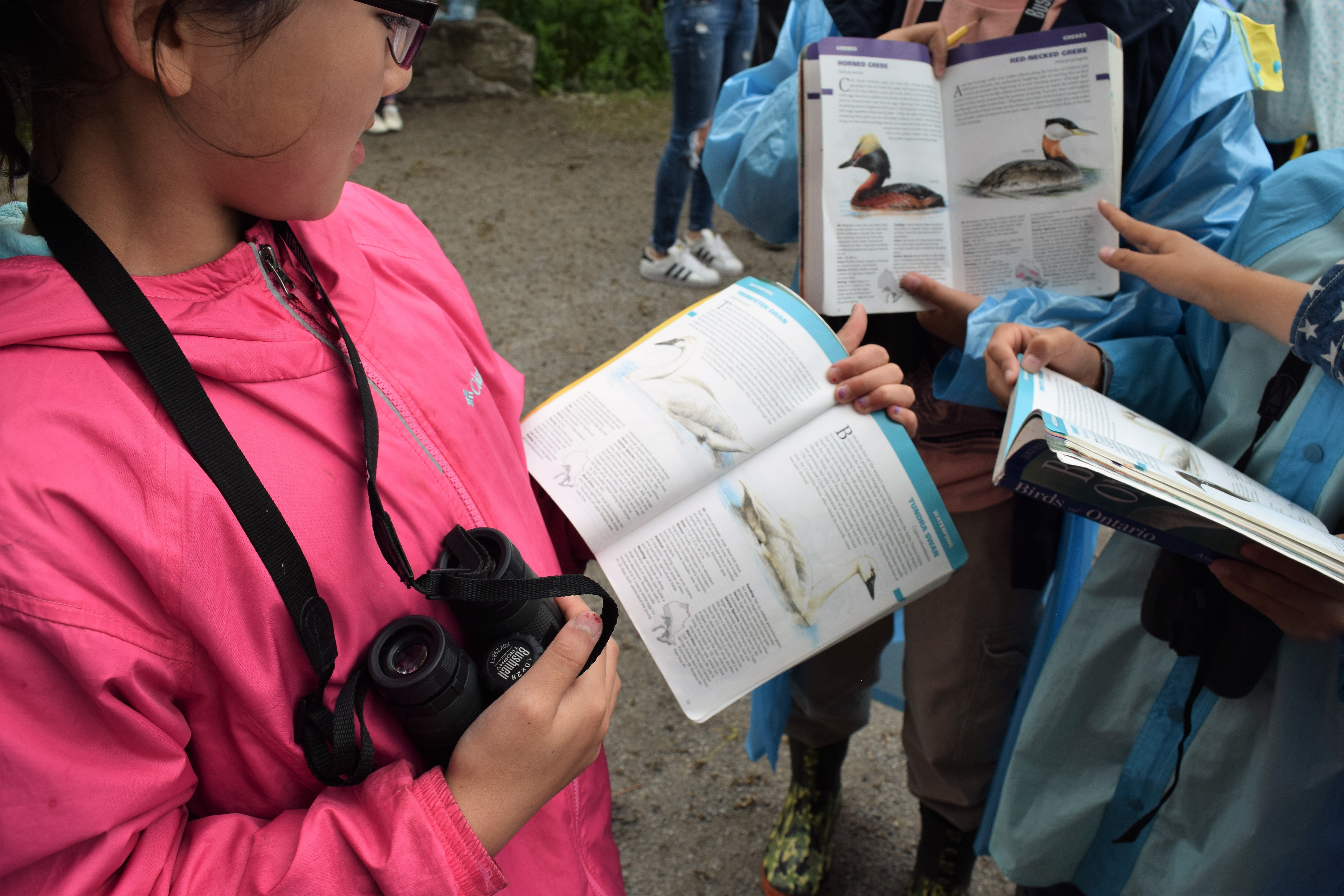 Kids looking at bird id books