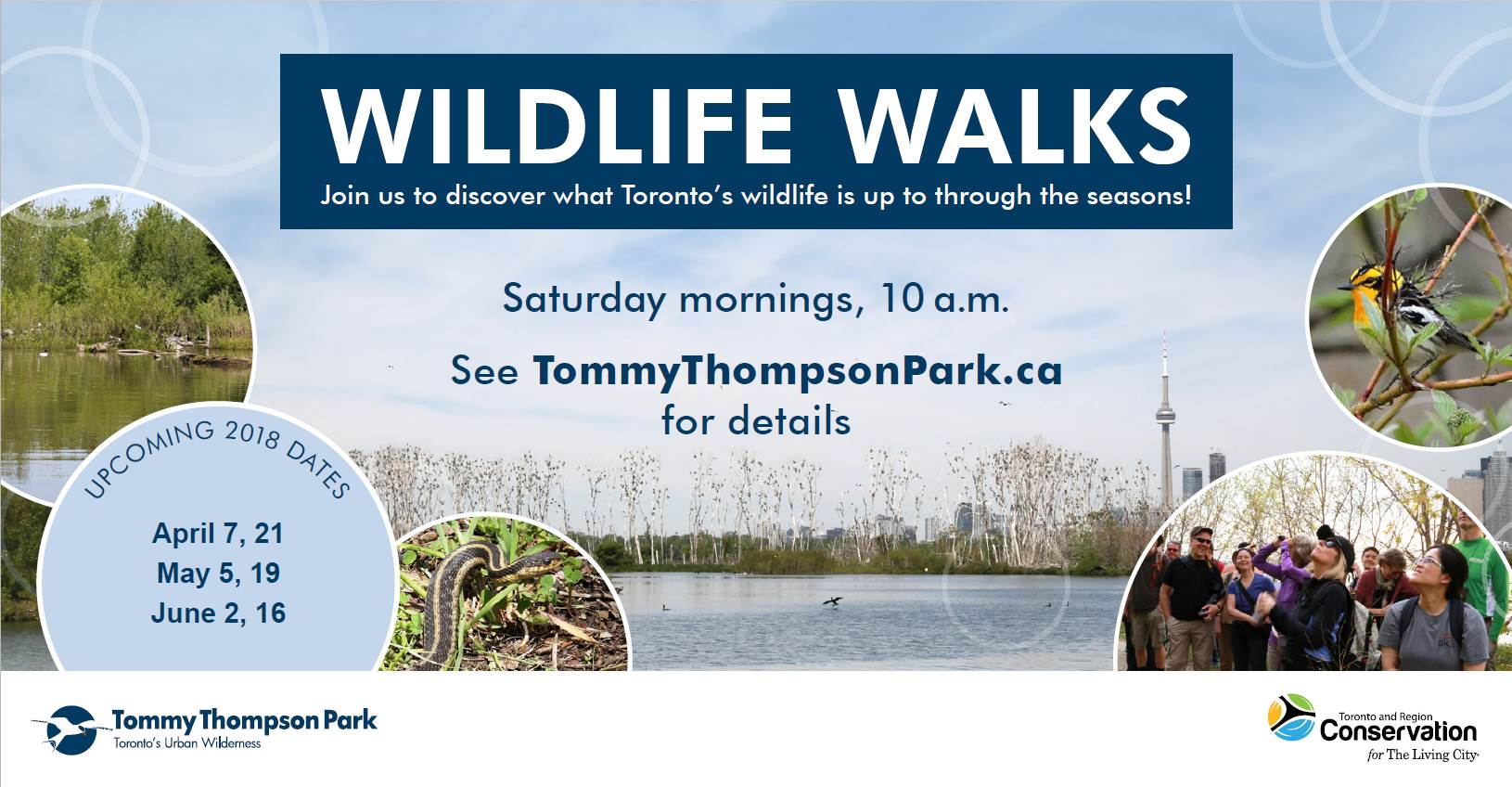 Guided Nature Walk