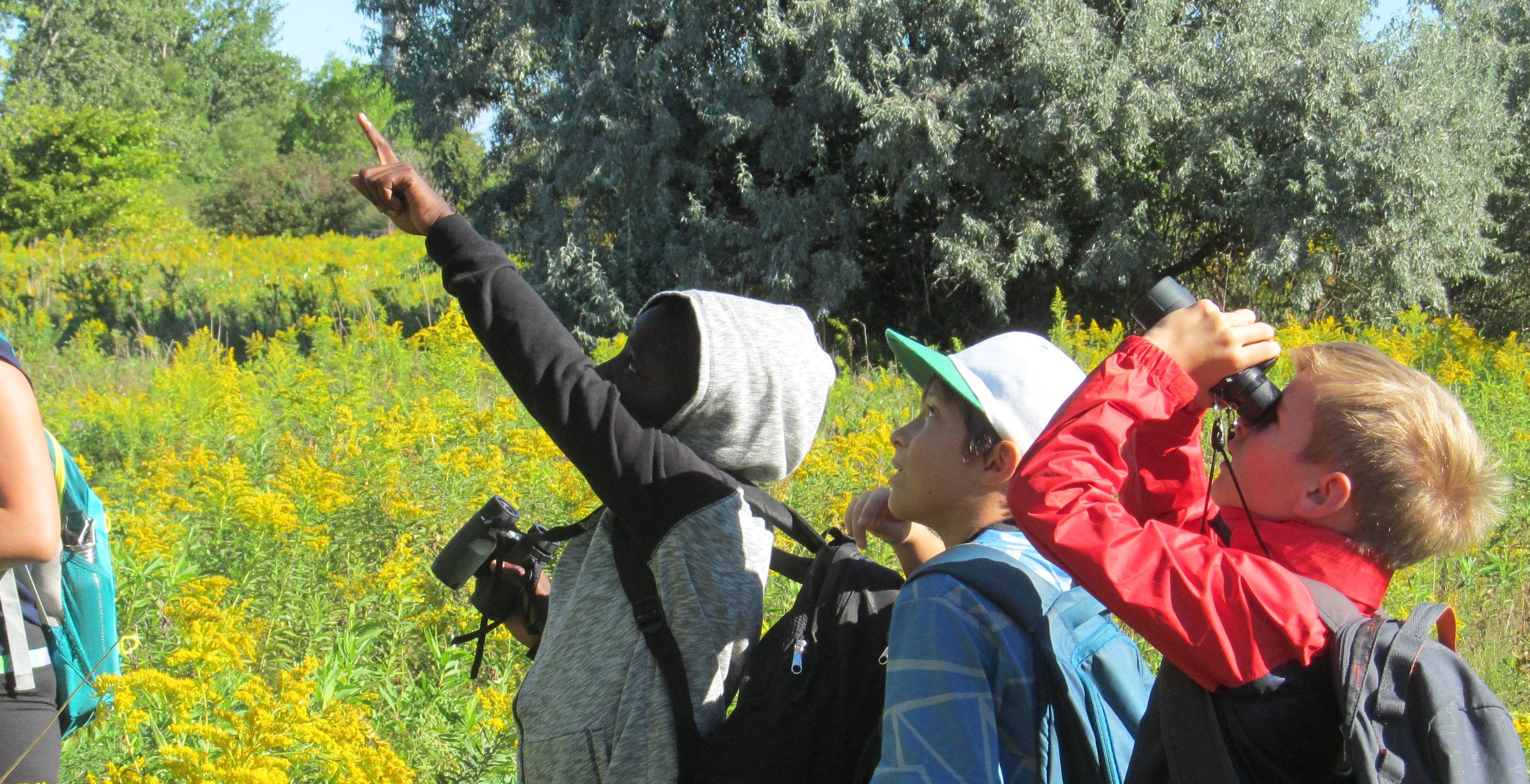 Kids birdwatching