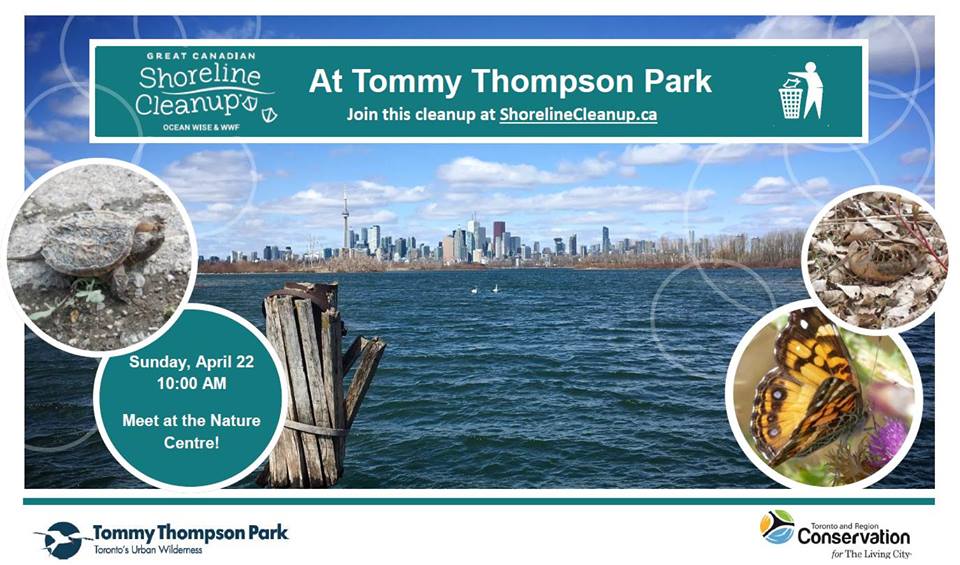 Shoreline Cleanup at Tommy Thompson Park