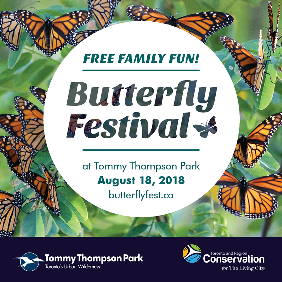 Tommy Thompson Park Butterfly Festival, August 18, 2018