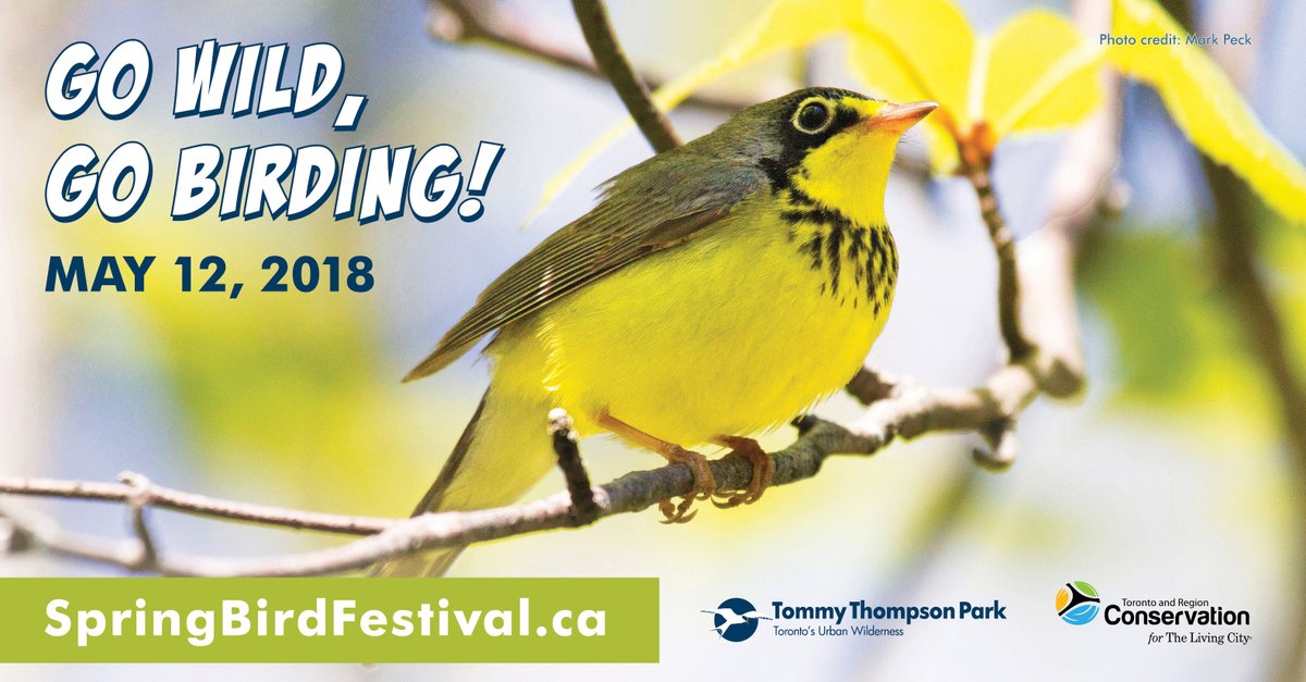 Spring Bird Festival