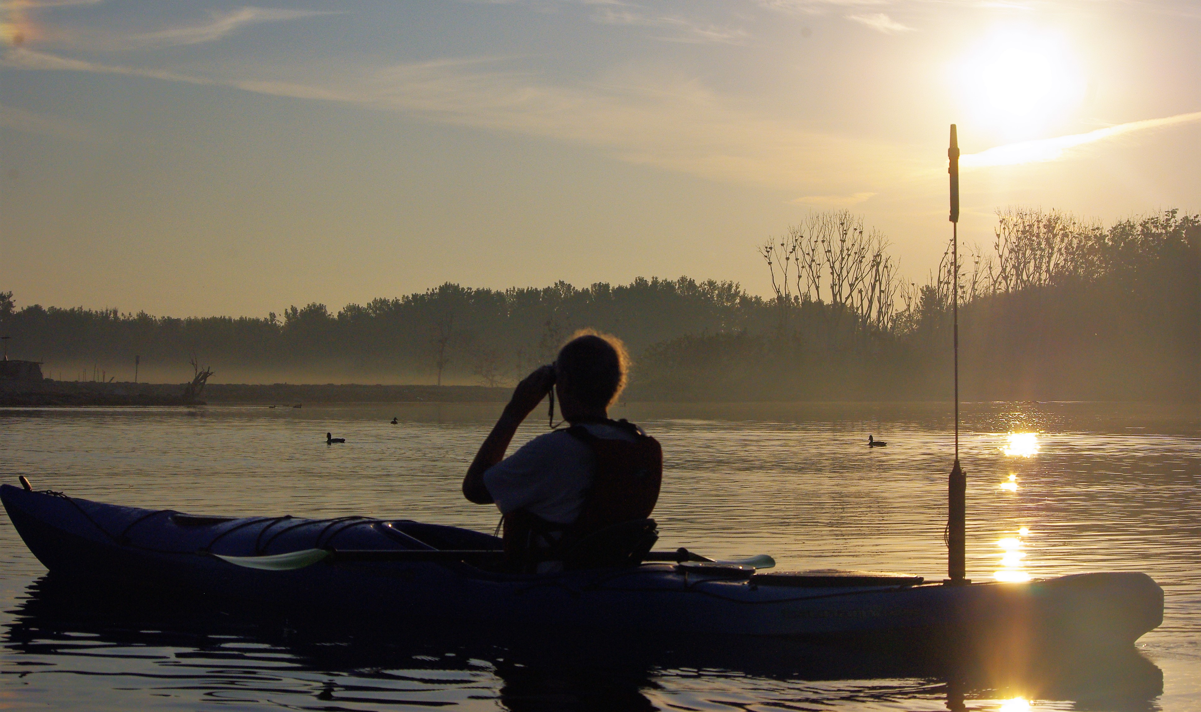 Kayaking at sunrise - looking at birds