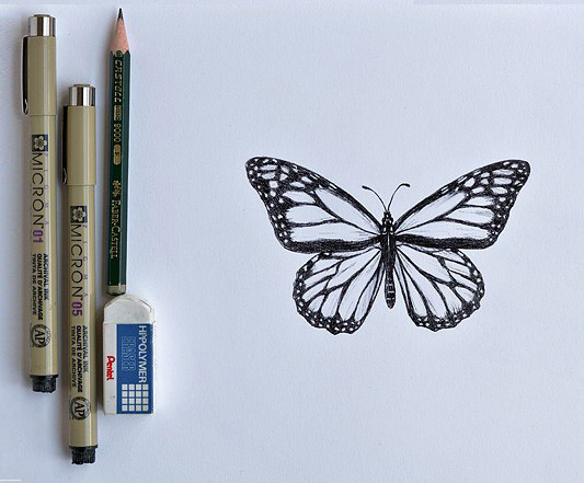 butterfly sketching tools – Tommy Thompson Park | Leslie Street Spit