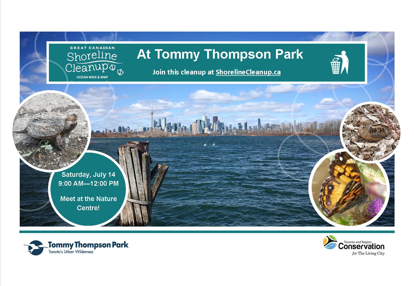Shoreline Cleanups at Tommy Thompson Park