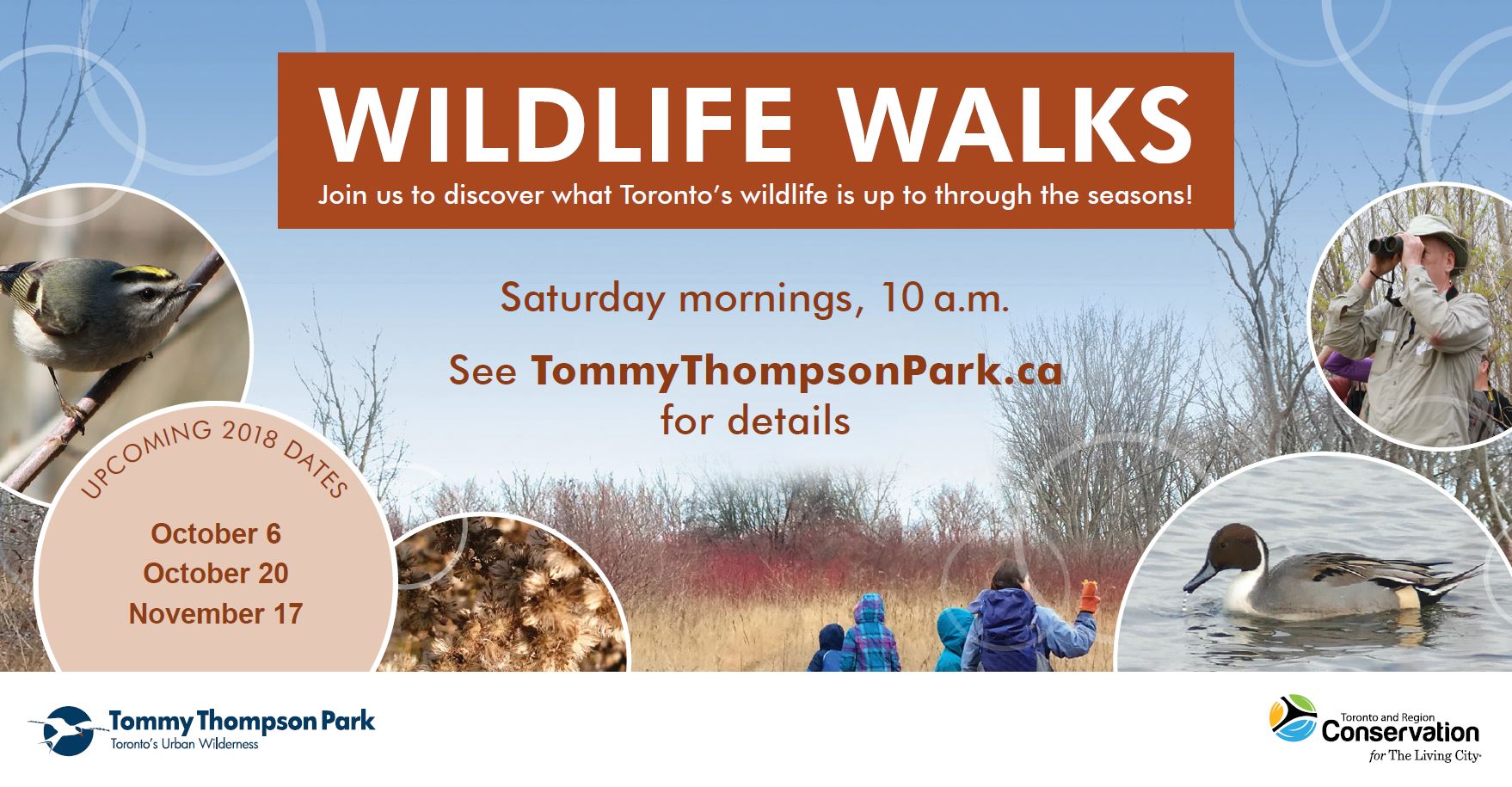 Wildlife Walks at Tommy Thompson Park