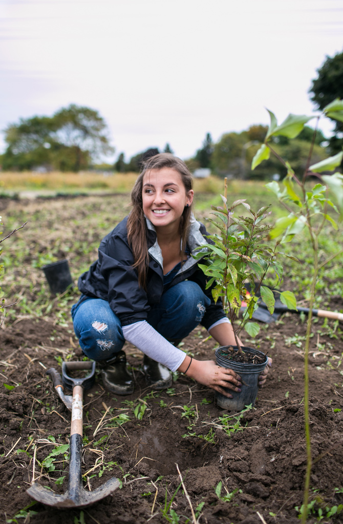 A teenage girl planting a shrub
