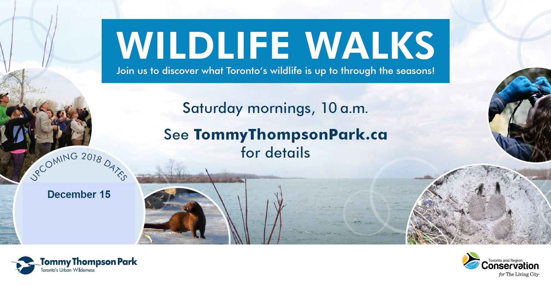 Wildlife Walks at Tommy Thompson Park