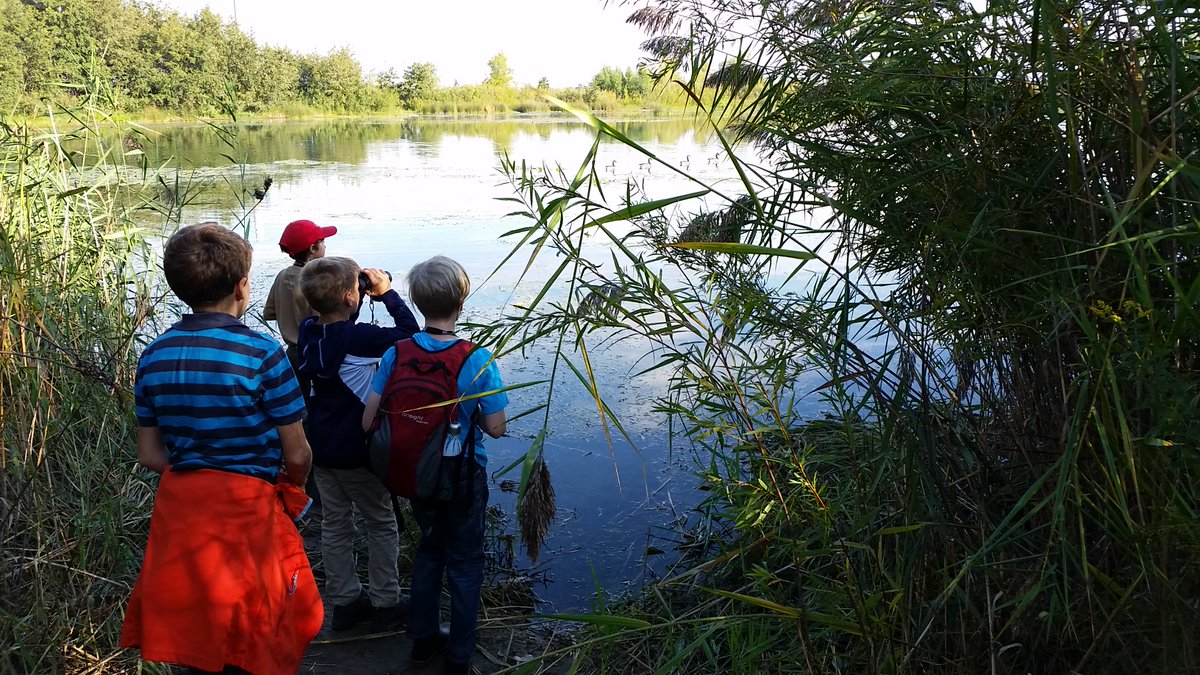 Kids at Tommy Thompson Park looking out across a wetland