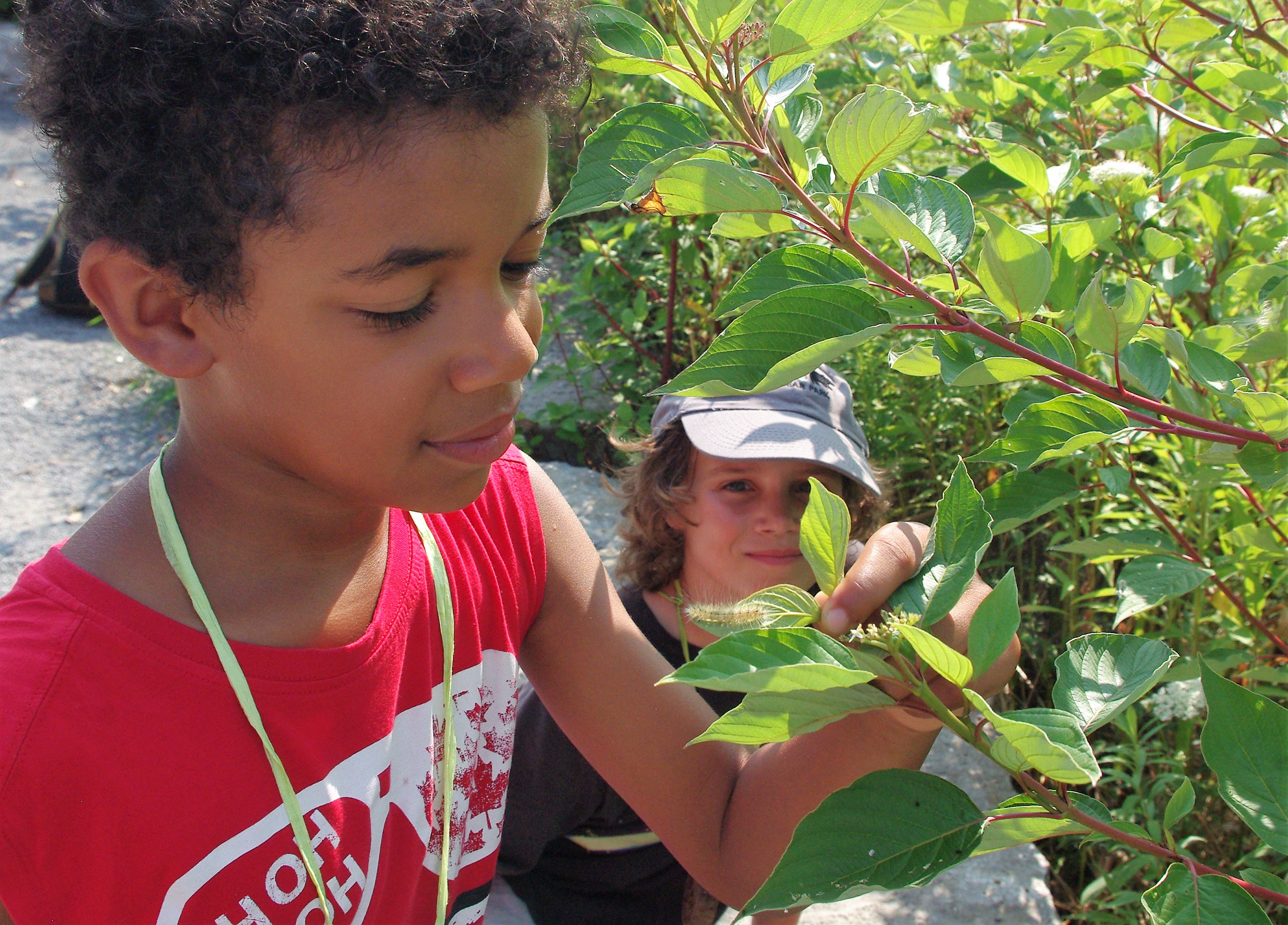 Camp participant looking at a caterpillar on a leaf