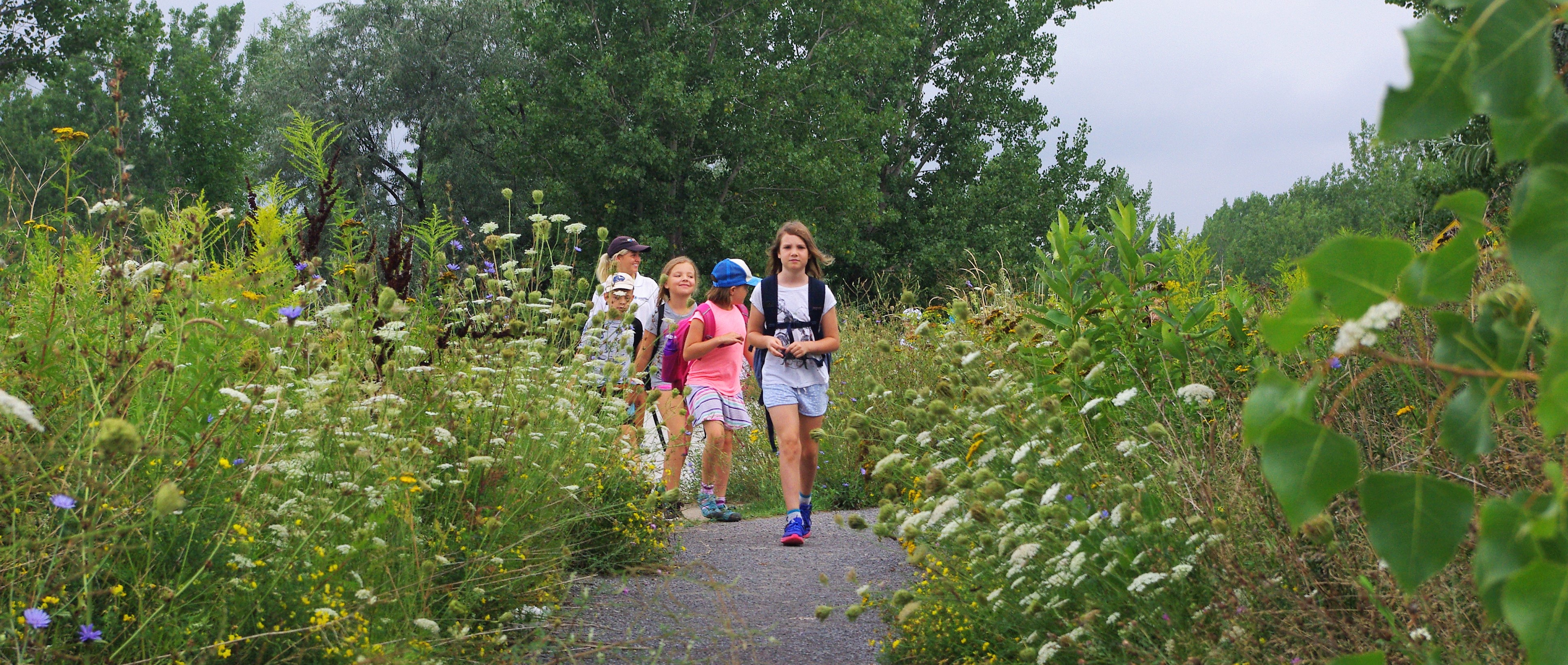 Campers walking on park trail