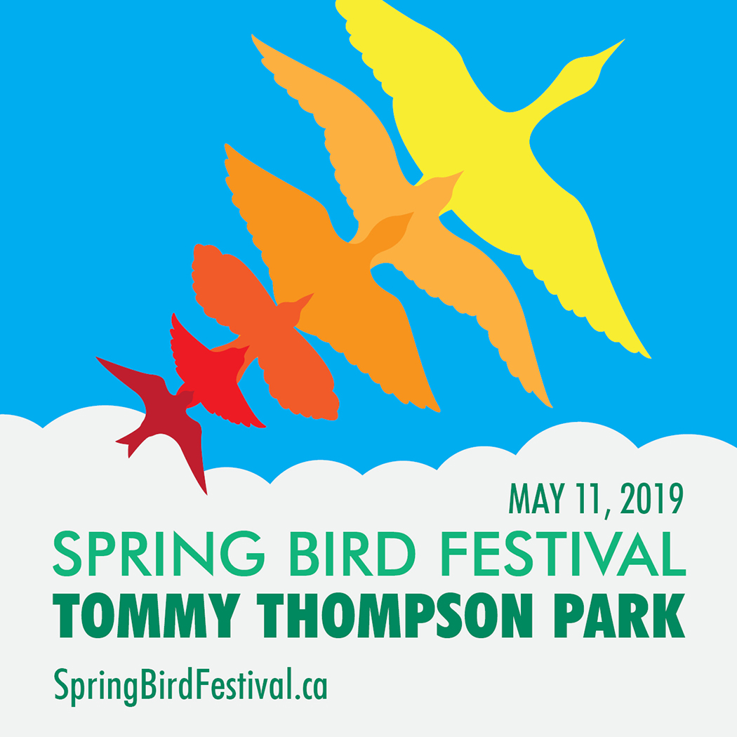 Tommy Thompson Park Spring Bird Festival May 11, 2019