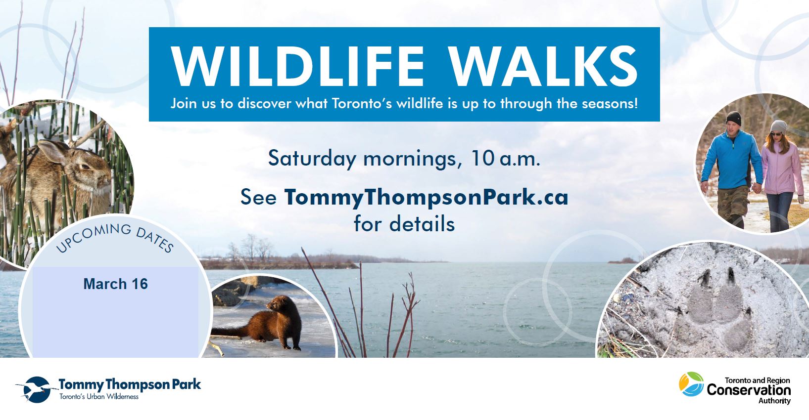 Wildlife Walk at Tommy Thompson Park