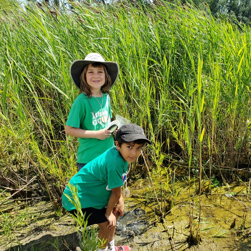 summer campers explore wetland at Tommy Thompson Park