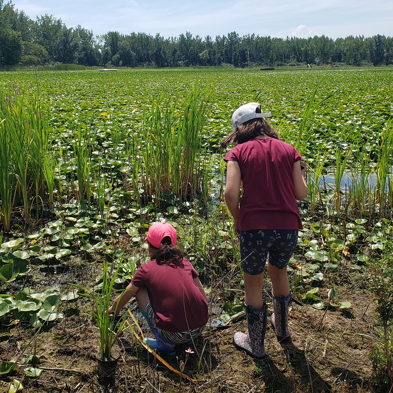 PA Day campers explore wetland area at Tommy Thompson Park