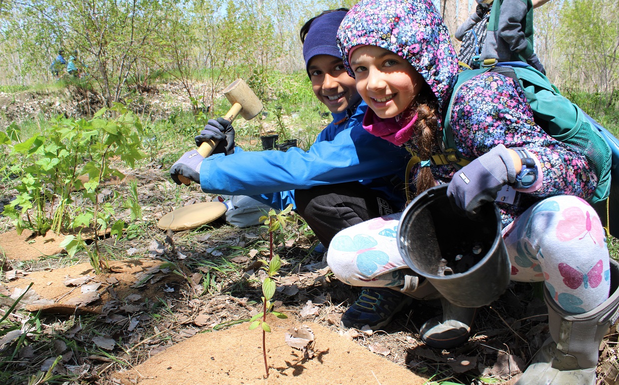students help plant native shrubs as they enjoy Tommy Thompson Park spring nature club activities