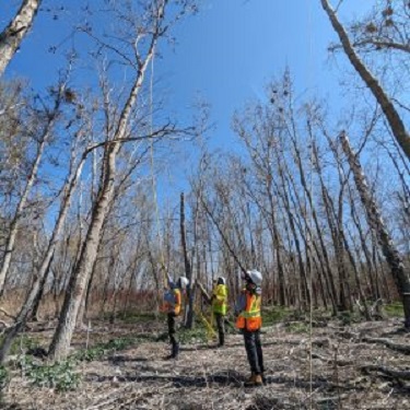 ttp-cormorant-management_NEW7a_april2025 Members of the TRCA Cormorant Management field team at work